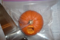 pumpkin_14
